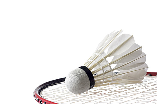 用四后卫体 用四后卫体